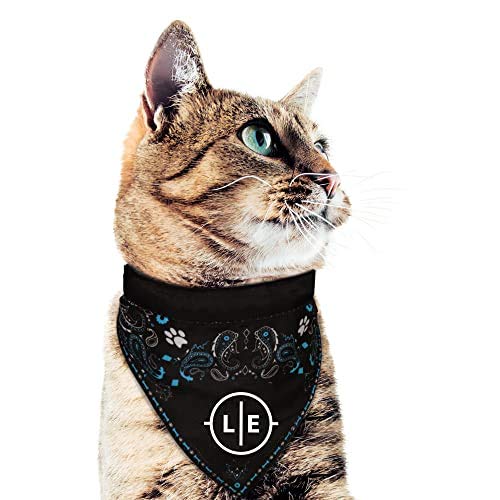 NFL New England Patriots Pet Bandana (New England Patriots / Medium)
