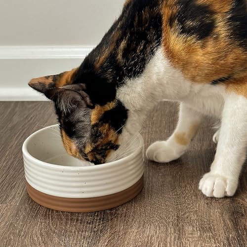 Ceramic Pet Bowl Size Small (Small / Vanilla White)
