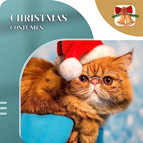 Dog Sunglasses Round Metal Pet Eyewear (Gold / No Lens Style)
