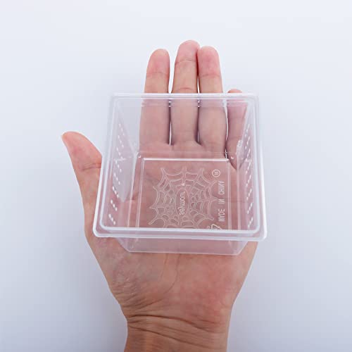 10 Pcs Insect Spider Terrariums Breeding Box Hatching Container Small Reptile Scorpion Centipede Acrylic Breeding Box