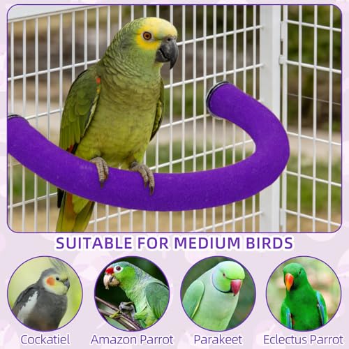 U Shaped Large Parrot Perch (Large / Purple)