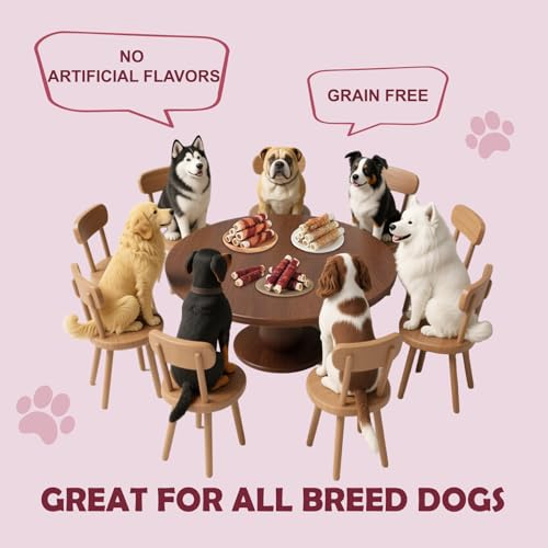Dog Treats Bones