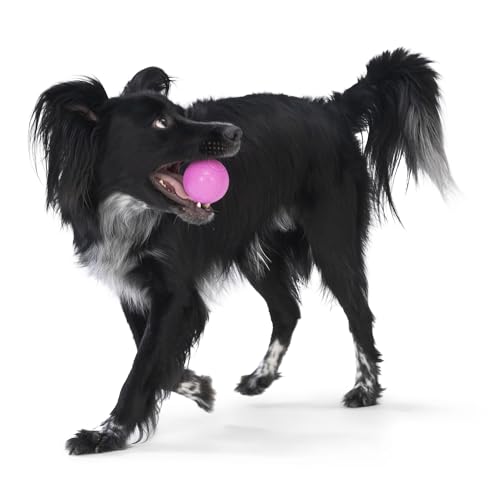 Boundr Ball Dog Fetch Toy (Small (Pack of 2) / Dandelion)