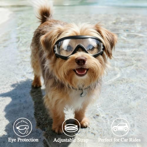 Dog Goggles Small Breed Windproof Anti (Small / Clear)