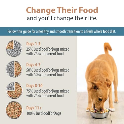 Pantry Fresh Wet Dog Food (12.5 Ounce (Pack of 6))