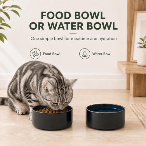 Cat Bowls Set of Two (Starry Sky)