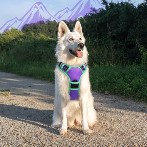Dog Harness for Large Dogs (X-large / Purple & Turquoise)