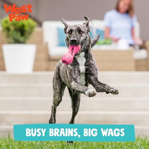 Qwizl Durable Zogoflex Dog Puzzle Toy for Mental Stimulation (Small / Teal)