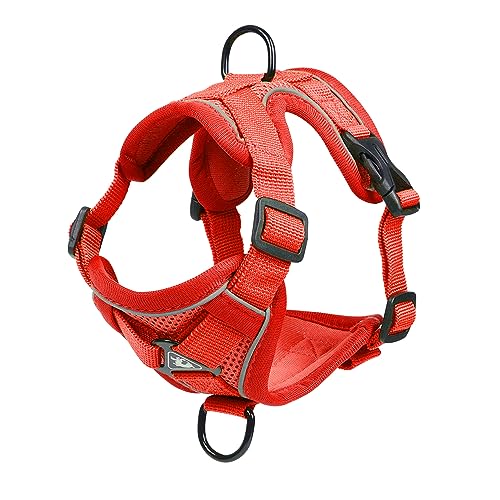 Cat Harness and Leash Set (Red / M)