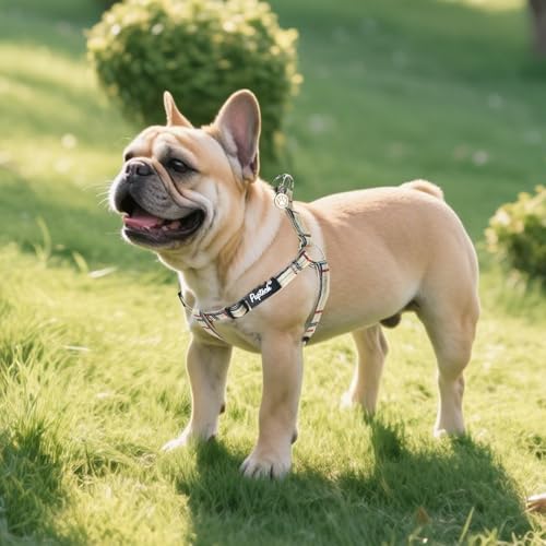 No Pull Dog Harness Small Sized Step (Beige Plaid / Small)