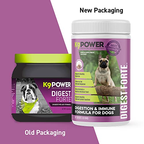 Digest Forte Advanced Digestive & Immune Support for Dogs (1 lb (Pack of 1))