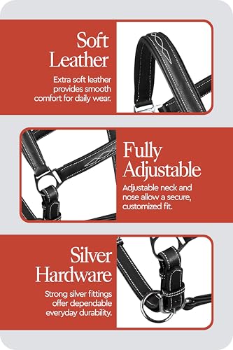 Warren Soft Adjustable Genuine Leather Horse Halter (Black / Horse)