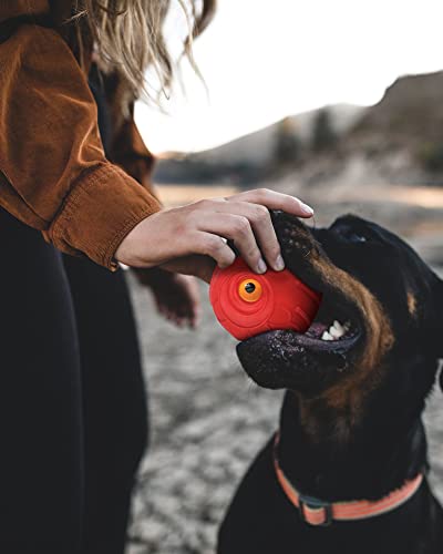 Giggle Ball for Dogs Interactive Dog Toys for Aggressive Chewers Dog Ball Toy for Puppy Medium Large Dogs Natural Rubber Cute Owl Hoot Fun Giggle Sounds When Rolled or Shaken (Red)