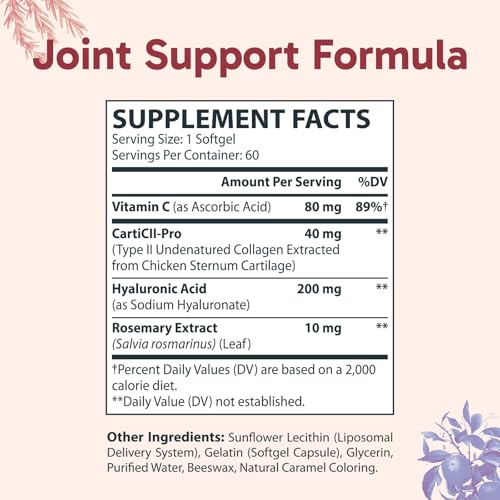 Liposomal Collagen with Undenatured Type 2 Collagen (60 Count (Pack of 1))