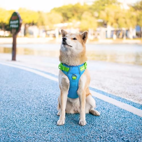 No Pull Dog Harness (Blue Base & Green Straps / Large)