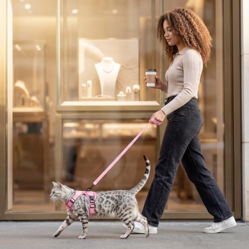 Cat Harness and Leash Set (Pink / Small)