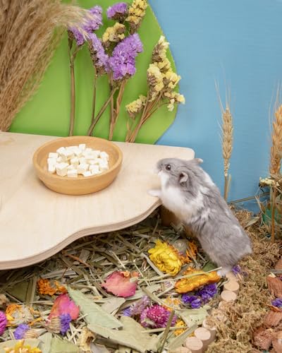 Hamster Snack & Treats Toy