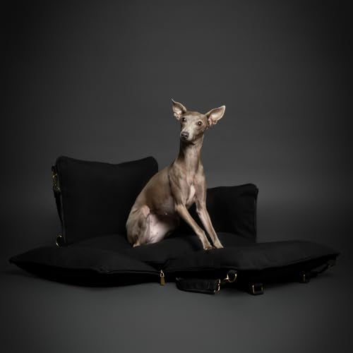 Small Dog Car Seat for Small Medium Pets with Harness Clip (Black - Canvas / Medium)