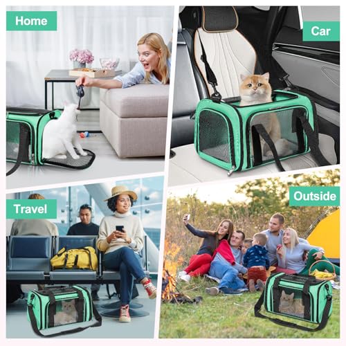 Cat Dog Carrier Up to 15 Lbs TSA Airline Approved Pet Carrier for Small Medium Cats Puppies Dog Carriers for Small Dogs Collapsible Soft Sided Cat Travel Carrier (15.8"L x 10.2"W x 10.2"H / Green)