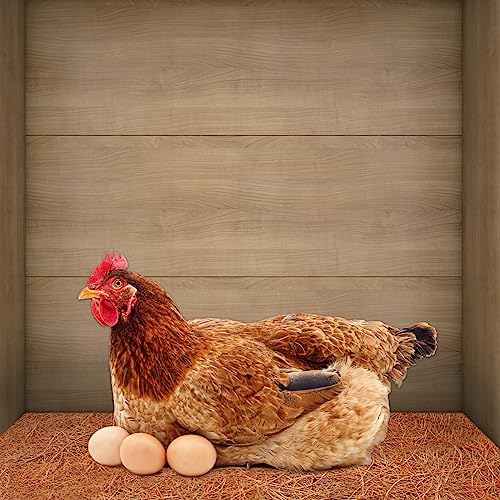 3 Rolls Reptile Carpet 24x48 Inch Coconut Fiber Mat for Tank Bedding (3 Pcs (24X48in))