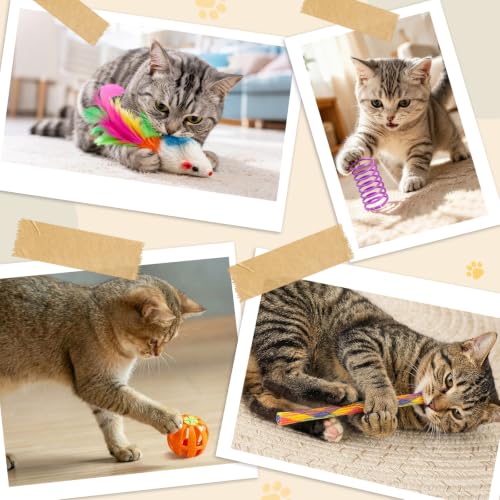 24 Pcs Cat Toys Set for Indoor Cats