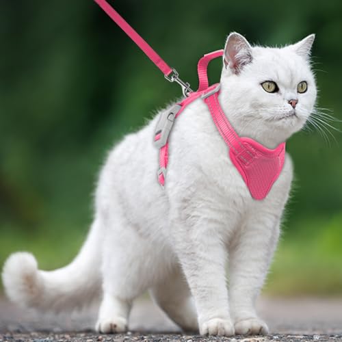 Cat Harness and Leash Set Escape Proof for Kitten Walking (Medium / Pink)