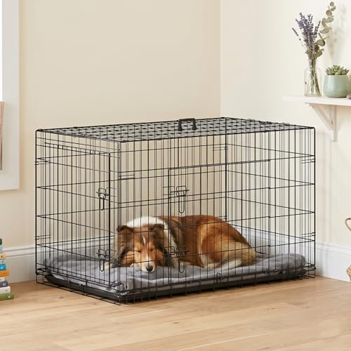 Dog Crate for Large Dogs 48 Inch Folding Kennel Metal Pet Cage Black (Black / 48.0"L x 29.0"W x 31.0"H)