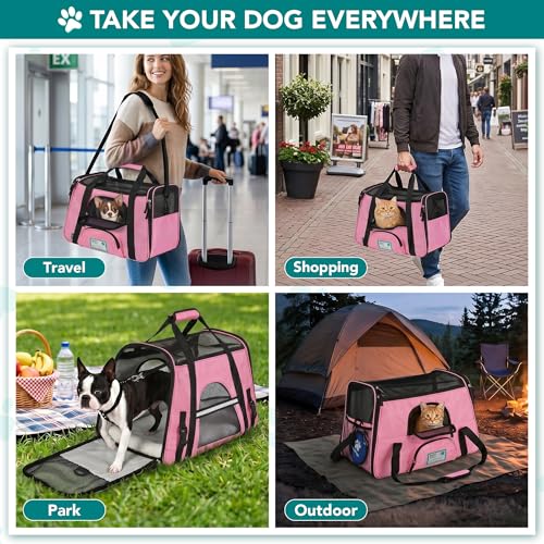 Airline Approved Pet Carrier for Cats & Small Dogs (Pink / 19.5"L x 10.2"W x 12.0"H)