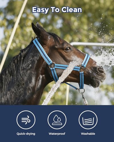 Adjustable Horse Halter (BLUE / Full)