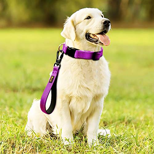 10” Short Dog Leash (Purple / 10 Inch (Pack of 1))