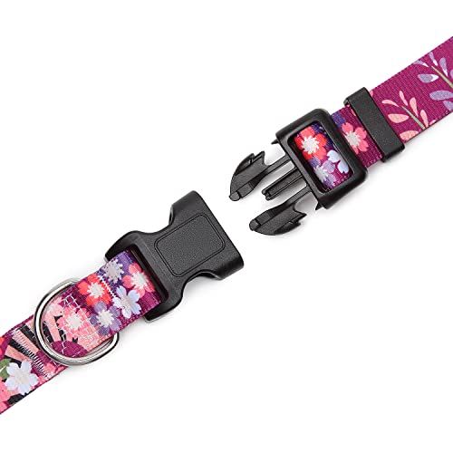 Adjustable Dog Collar (Extra Small / Colorful Flower)