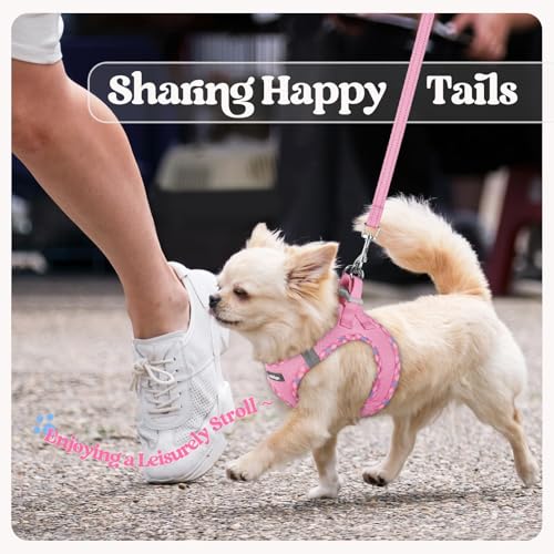 Dog Harness Medium Sized and Leash Set (Pink & Plaid Trim / L (chest: 18.2 - 20.5"))