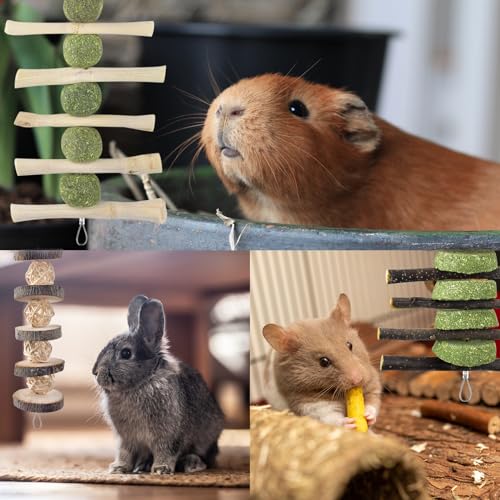 Bunny Chew Toys (5 Pcs)