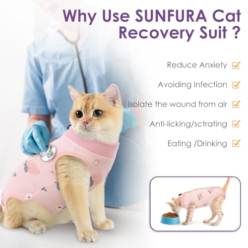 Cat Recovery Suit (Peach / Small)