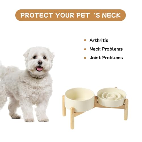 Elevated Slow Feeder Dog Bowls (Light Yellow)