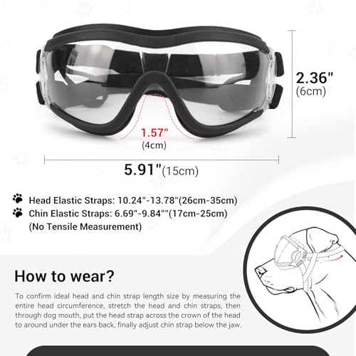 Dog Goggles Large Breed Windproof Anti (Large / Clear)