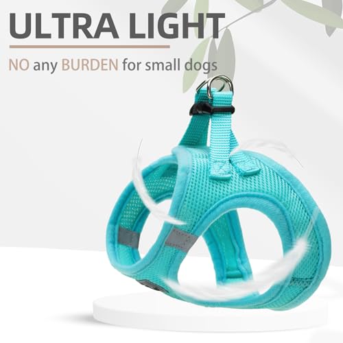 Dog Harness Collar and Leash Set No Pull for Small Medium Sized (Turquoise / XS (CHEST 13"-14.5"))