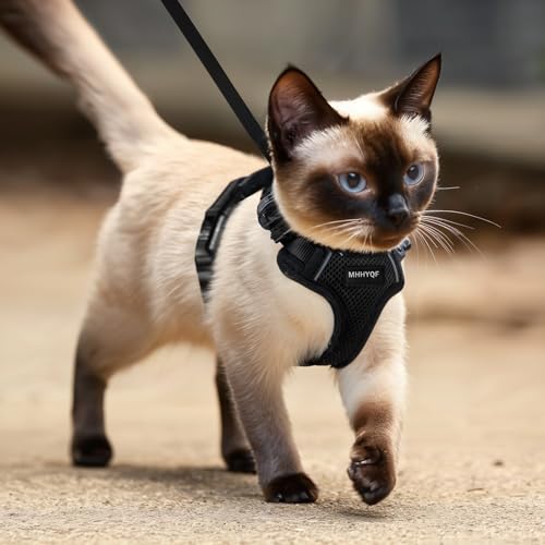 Cat Harness and Leash Set for Walking Escape Proof (Black / X-Small)