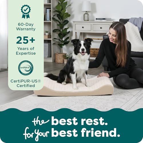 Orthopedic Dog Bed for Large