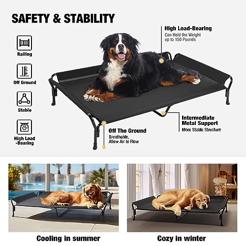 Cooling Elevated Dog Bed (Black / 62.5"L x 37.0"W x 12.0"Th)