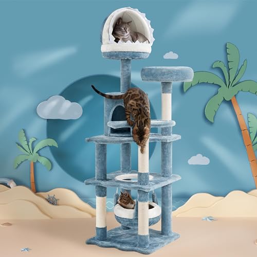 Blue Cute Shark Cat Tree for Kittens