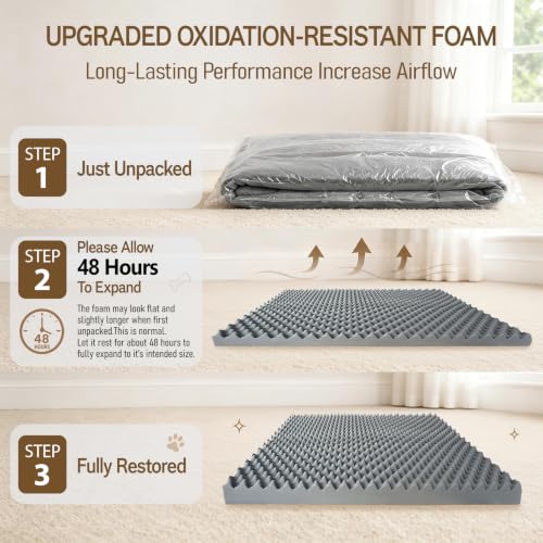 Washable Dog Bed with Bolster for Medium to Large Dogs (Jungle Berry / 36"L x 27"W x 7.5"Th)