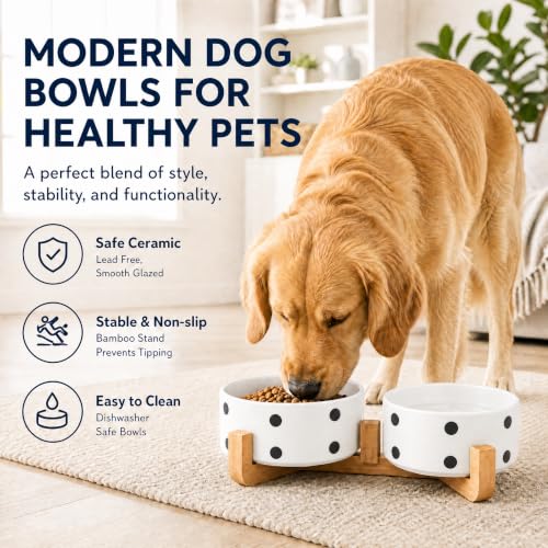 Dog Bowls Ceramic (Black Dot / 850ML*2)
