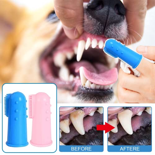 8 Pack Small Dog & Cat Toothbrush Kit