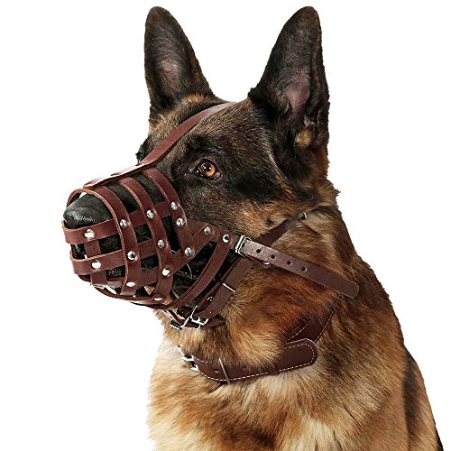 Leather Basket Muzzle (Chestnut Brown)