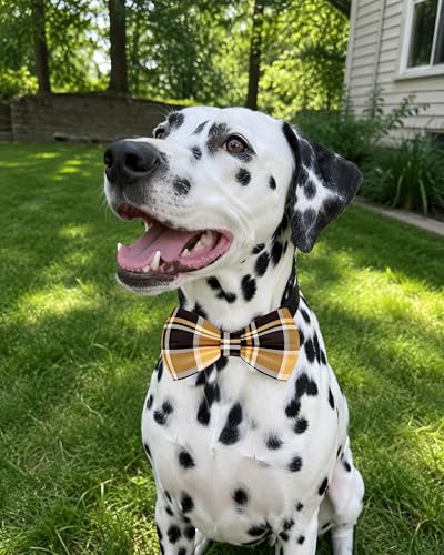 10 Pack Plaid Dog Bowties for Large Dogs Sliding on Collar (M/L)