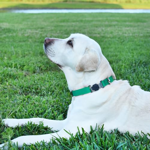 Biothane Waterproof Dog Collar with Herm Sprenger Black Stainless Steel Quick Release Buckle (W 3/4" x L 12"-19" / Teal)