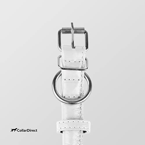 Tangle Free Rolled Leather Dog Collar (White / XS)