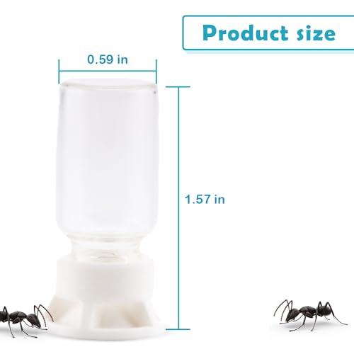 5 Pcs Jumping Spider Ant Water Feeder Bee Plastic Water Feeding Tarantula Water Bowl Spider Feeder