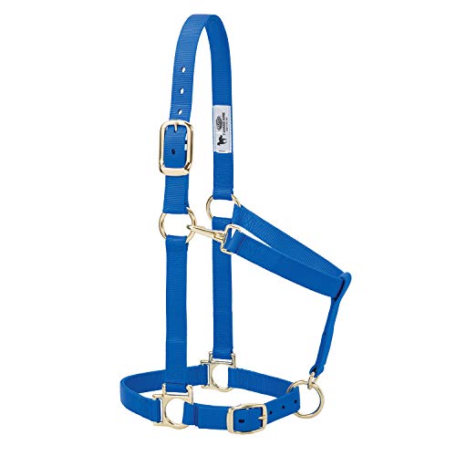 Nylon Horse Halter (Blue / 1" Small Horse)